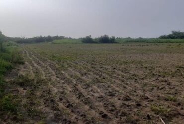 Land for sale- 9 acres in pattithevanpatti and 9 acres in reddiyapatti