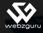 Webzguru Services